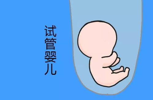 承济医学中心环境